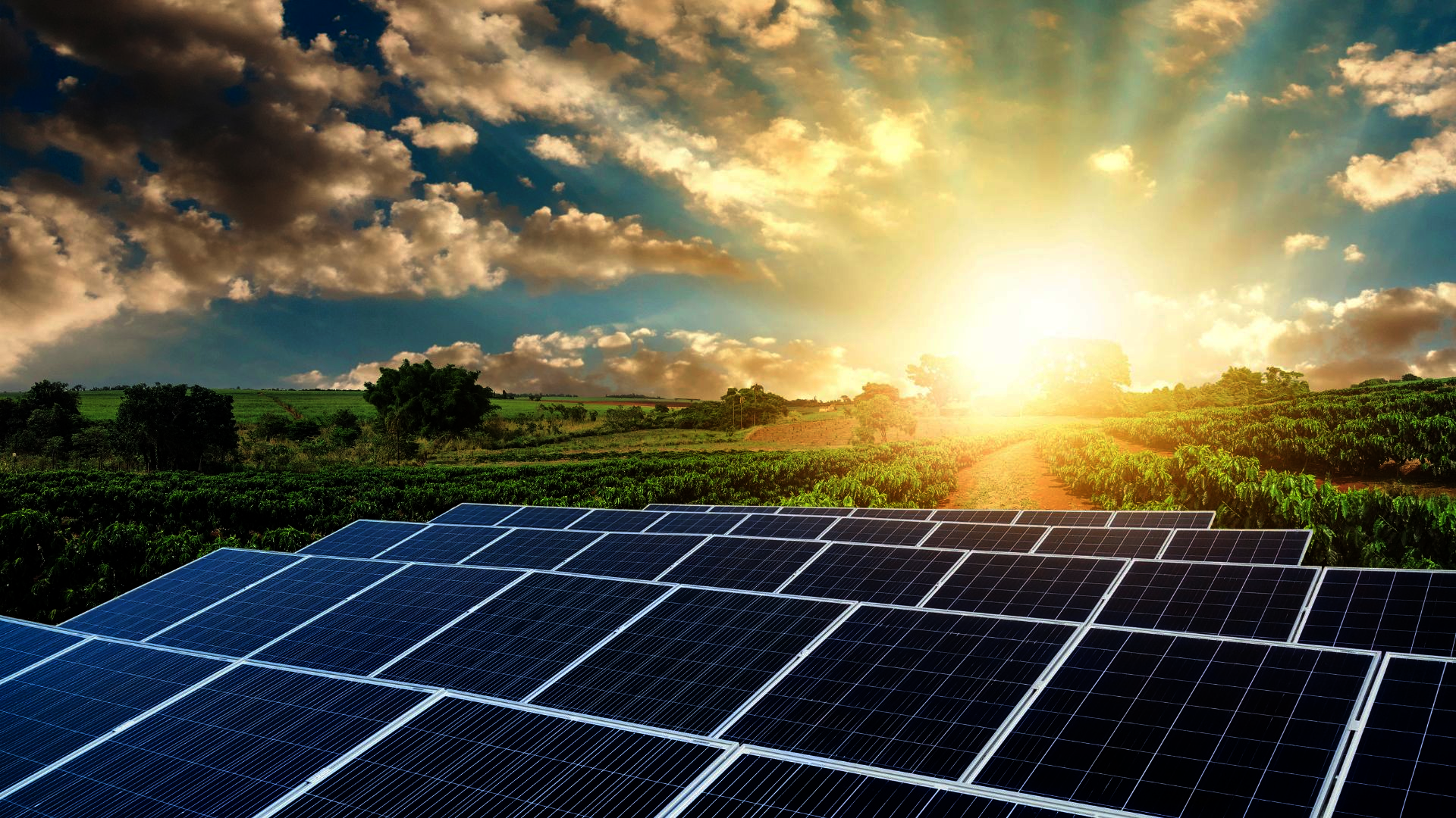 Commercial Solar Energy and Sustainability
